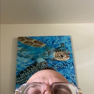 Meet your Posher, Collin